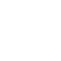 Ruminant