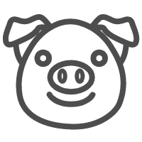 Swine