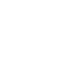 Fermentation feed